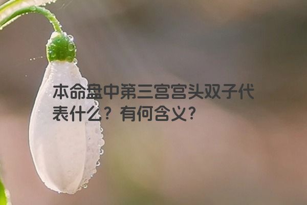 本命盘中第三宫宫头双子代表什么？有何含义？