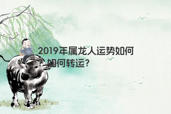 2019年属龙人运势如何？如何转运？