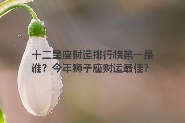 十二星座财运排行榜第一是谁？今年狮子座财运最佳？