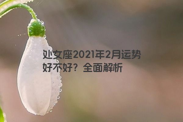 处女座2021年2月运势好不好？全面解析