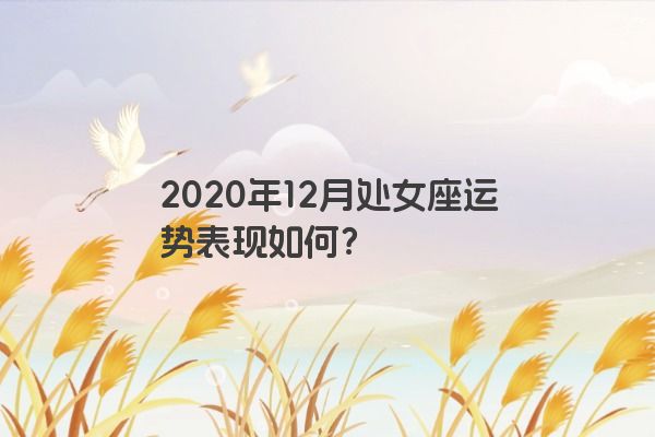 2020年12月处女座运势表现如何？