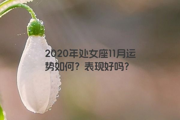 2020年处女座11月运势如何？表现好吗？