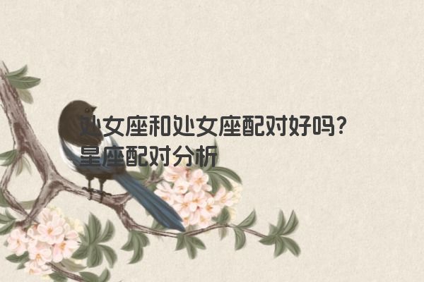 处女座和处女座配对好吗？星座配对分析