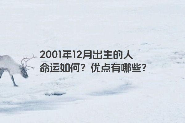 2001年12月出生的人命运如何？优点有哪些？