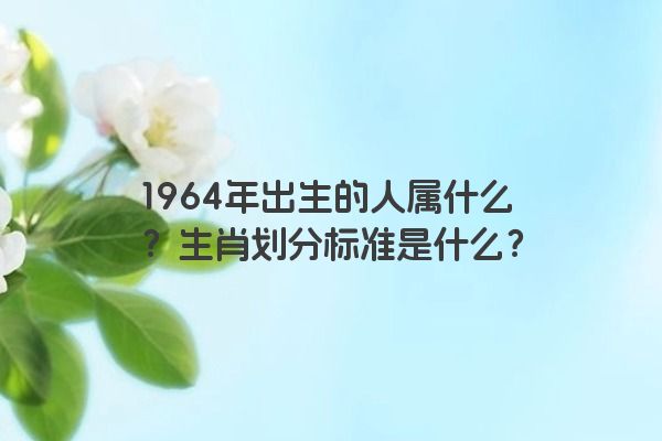 1964年出生的人属什么？生肖划分标准是什么？