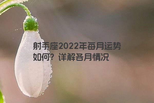 射手座2022年每月运势如何？详解各月情况
