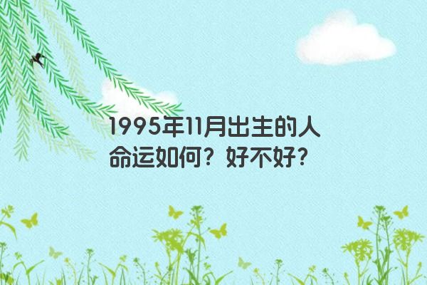 1995年11月出生的人命运如何？好不好？