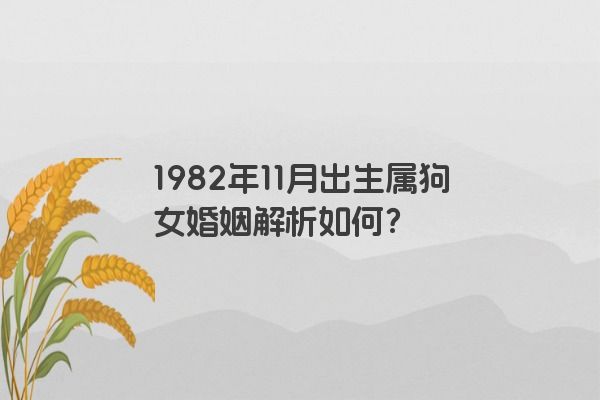 1982年11月出生属狗女婚姻解析如何？