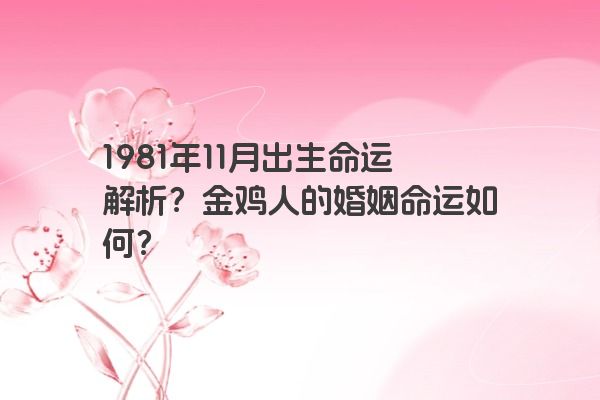 1981年11月出生命运解析？金鸡人的婚姻命运如何？