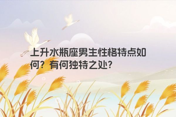 上升水瓶座男生性格特点如何？有何独特之处？