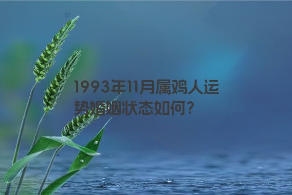 1993年11月属鸡人运势婚姻状态如何？