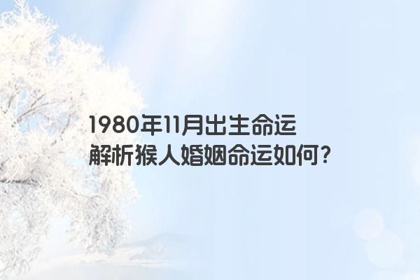 1980年11月出生命运解析猴人婚姻命运如何？