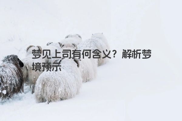 梦见上司有何含义？解析梦境预示