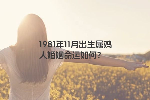 1981年11月出生属鸡人婚姻命运如何？