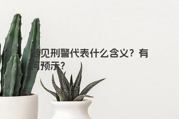 梦见刑警代表什么含义？有何预示？