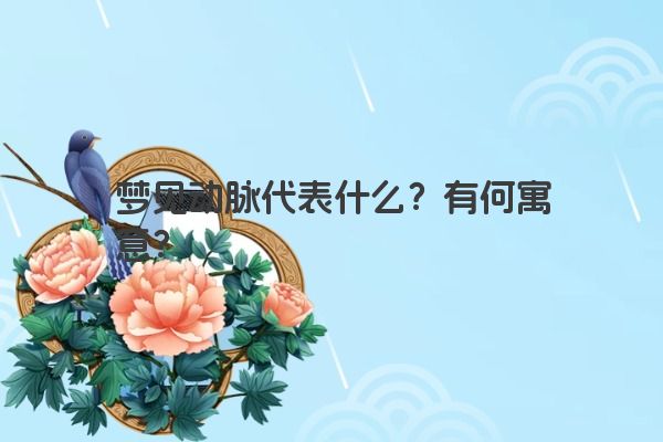 梦见动脉代表什么？有何寓意？