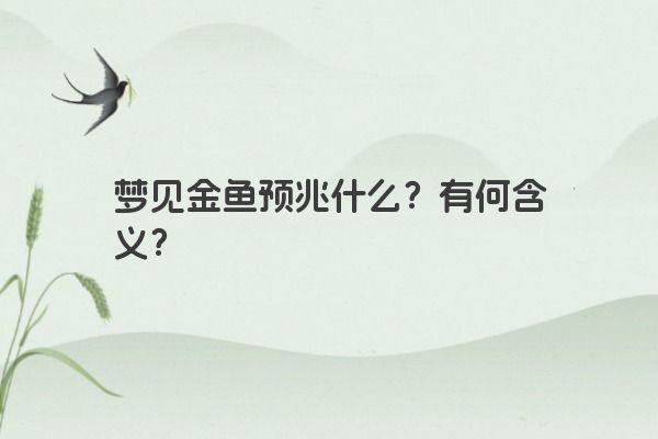 梦见金鱼预兆什么？有何含义？