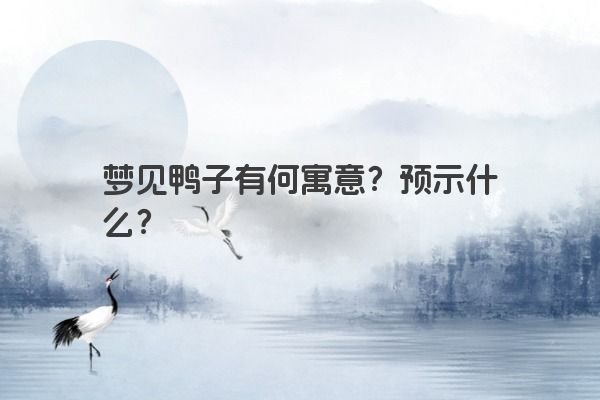 梦见鸭子有何寓意？预示什么？