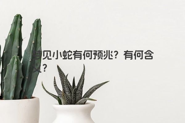 梦见小蛇有何预兆？有何含义？