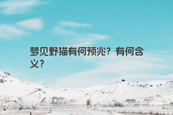 梦见野猫有何预兆？有何含义？