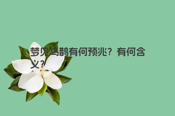 梦见乌鹊有何预兆？有何含义？