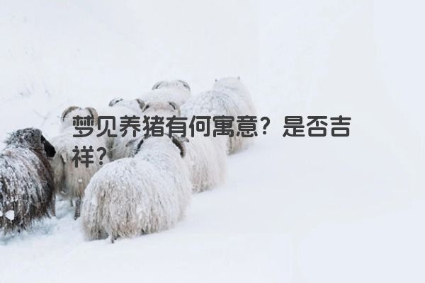 梦见养猪有何寓意？是否吉祥？