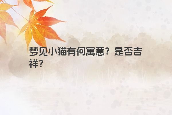 梦见小猫有何寓意？是否吉祥？