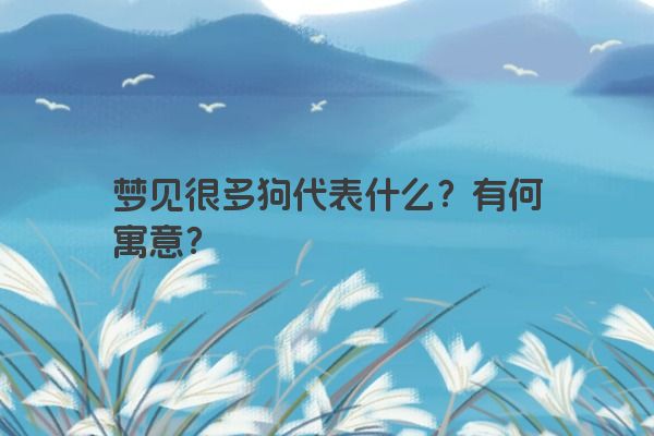 梦见很多狗代表什么？有何寓意？