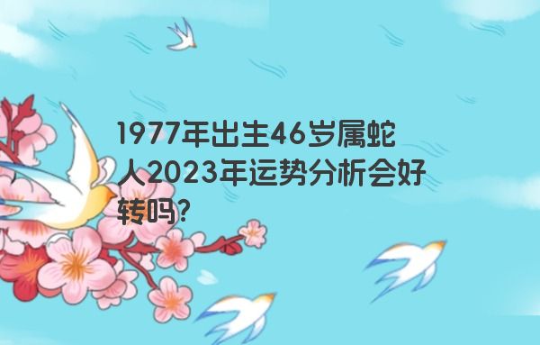 1977年出生46岁属蛇人2023年运势分析会好转吗？