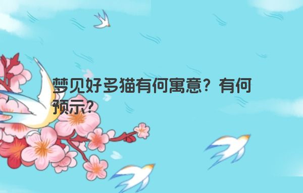 梦见好多猫有何寓意？有何预示？