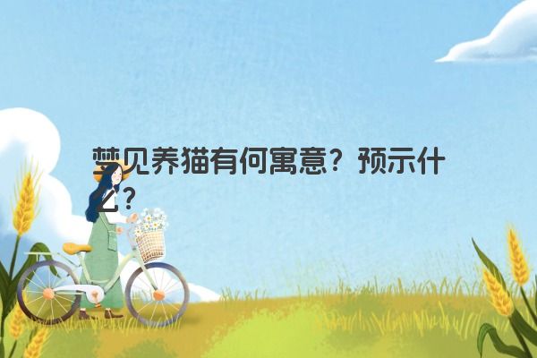 梦见养猫有何寓意？预示什么？
