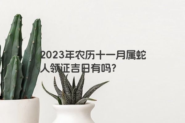 2023年农历十一月属蛇人领证吉日有吗？