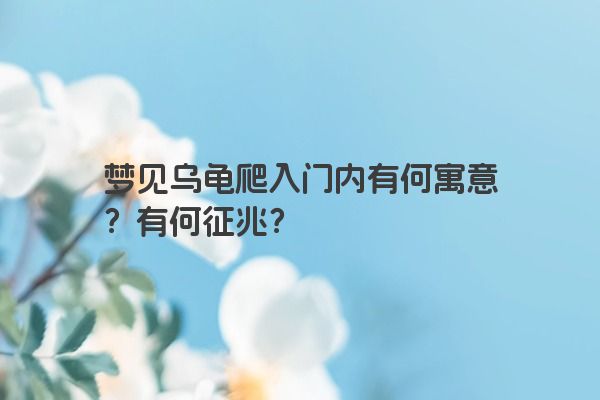 梦见乌龟爬入门内有何寓意？有何征兆？