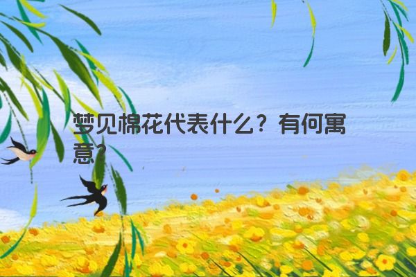 梦见棉花代表什么？有何寓意？