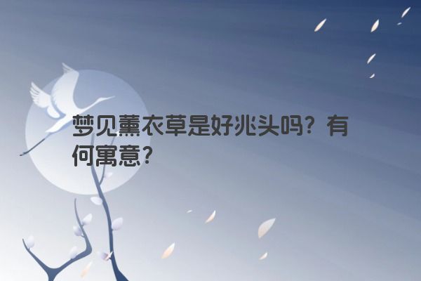 梦见薰衣草是好兆头吗？有何寓意？