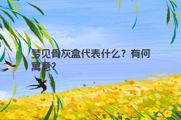 梦见骨灰盒代表什么？有何寓意？