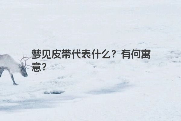 梦见皮带代表什么？有何寓意？