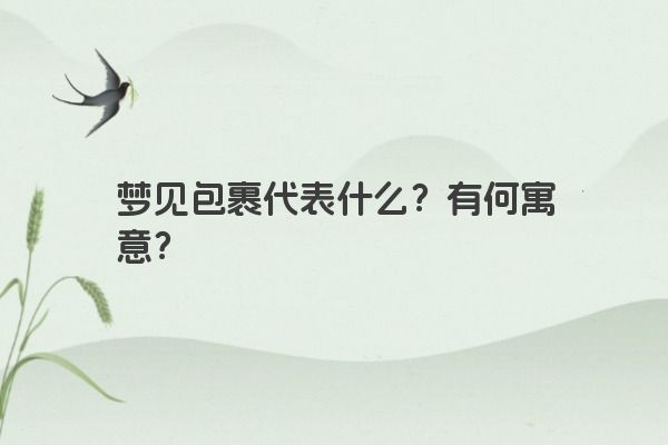 梦见包裹代表什么？有何寓意？