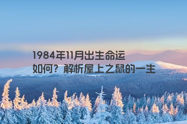 1984年11月出生命运如何？解析屋上之鼠的一生