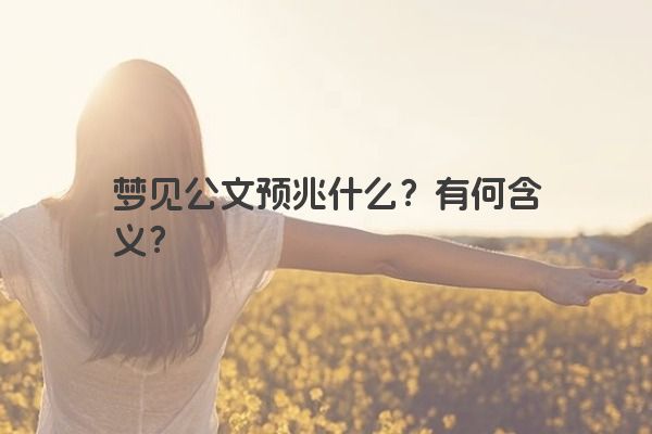 梦见公文预兆什么？有何含义？