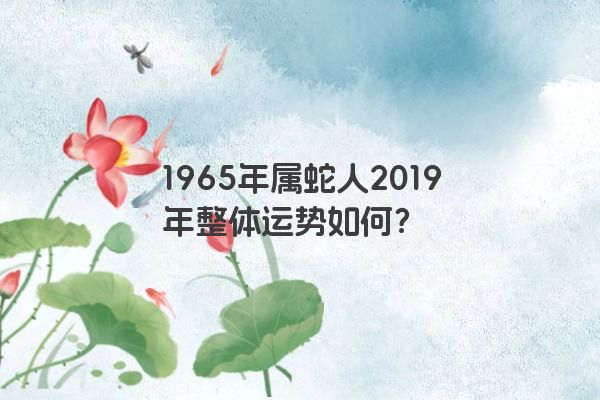 1965年属蛇人2019年整体运势如何？