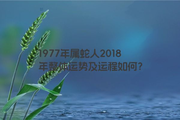 1977年属蛇人2018年整体运势及运程如何？