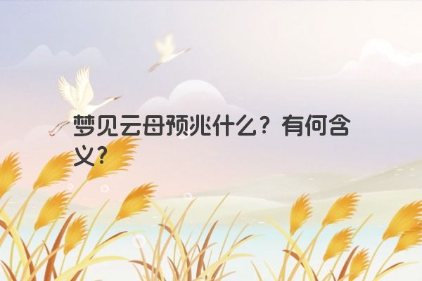 梦见云母预兆什么？有何含义？
