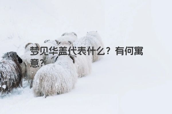 梦见华盖代表什么？有何寓意？