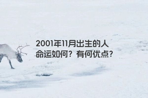 2001年11月出生的人命运如何？有何优点？