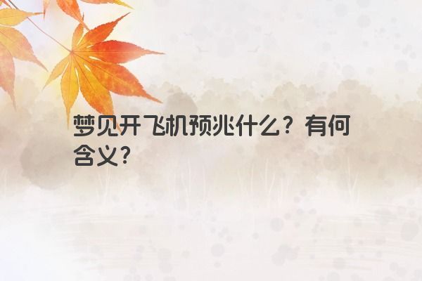 梦见开飞机预兆什么？有何含义？