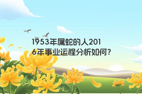 1953年属蛇的人2016年事业运程分析如何？