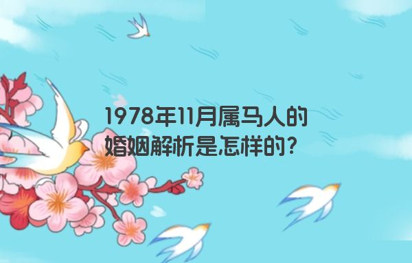 1978年11月属马人的婚姻解析是怎样的？