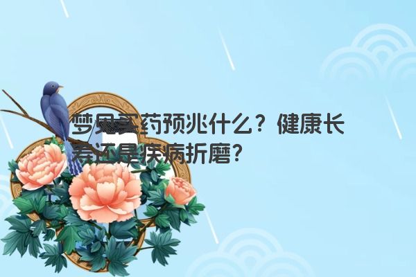 梦见买药预兆什么？健康长寿还是疾病折磨？