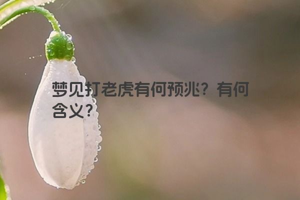 梦见打老虎有何预兆？有何含义？